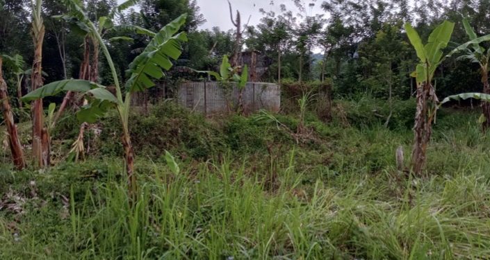 Proyek Air Bersih Tak Pernah Mengalir, Bangunan Miliaran di Kepahiang Jadi Sarang Semak