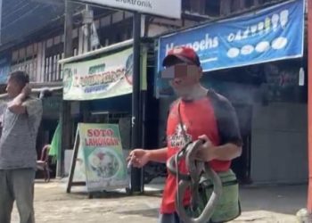 Viral Mainkan Ular Kobra di Pasar Kepahiang, Pria Asal Tebat Monok Tewas Dipatuk