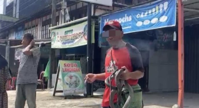 Viral Mainkan Ular Kobra di Pasar Kepahiang, Pria Asal Tebat Monok Tewas Dipatuk