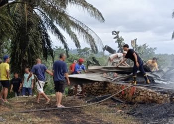 Kandang Ayam di Bengkulu Selatan Ludes Terbakar, Ini Dugaan Penyebabnya