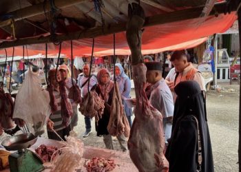 Harga Pangan Naik di Bengkulu, Satgas Saber Temukan Lonjakan Ayam dan Cabai di 5 Kabupaten