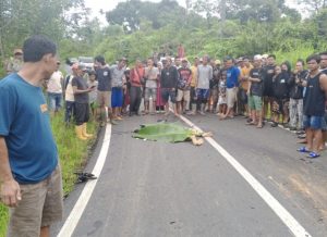 Tabrakan Maut di Lebong, Pengendara Motor Tewas Usai Bertabrakan dengan Truk DLH