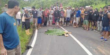 Tabrakan Maut di Lebong, Pengendara Motor Tewas Usai Bertabrakan dengan Truk DLH