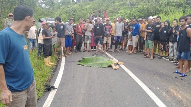 Tabrakan Maut di Lebong, Pengendara Motor Tewas Usai Bertabrakan dengan Truk DLH