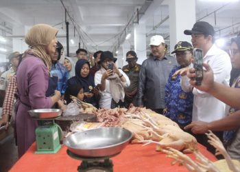 Awal Ramadan 2026, Harga Ayam di Bengkulu Utara Tembus Rp45 Ribu per Kg