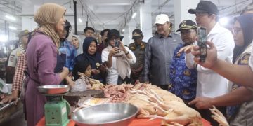 Awal Ramadan 2026, Harga Ayam di Bengkulu Utara Tembus Rp45 Ribu per Kg