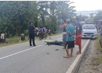 Kecelakaan Maut di Jalan Lintas Seluma, Kronologi Masih Diselidiki Polisi