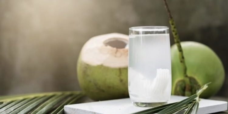 Kenapa Air Kelapa Cocok Jadi Menu Berbuka? Ini Manfaatnya bagi Tubuh