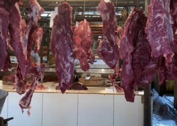 Pemprov Bengkulu Pastikan Stok Sapi Aman Selama Ramadan 2026