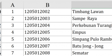 Dana Desa 2026 Langkat Rp79,9 Miliar! Ini Rincian Lengkap Seluruh Desa Penerima
