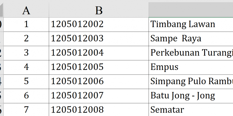 Dana Desa 2026 Langkat Rp79,9 Miliar! Ini Rincian Lengkap Seluruh Desa Penerima