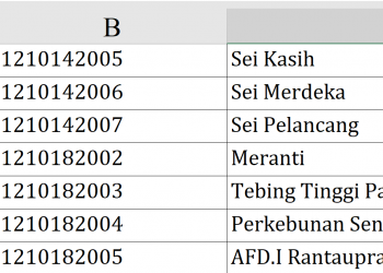 Dana Desa 2026 Kabupaten Labuhanbatu Rp25,07 Miliar! Ini Daftar Lengkap 75 Desa Penerima