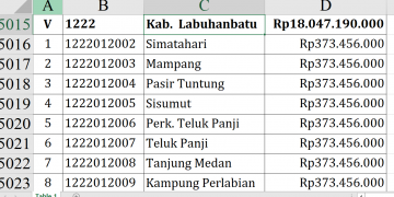 Dana Desa 2026 Labusel Tembus Rp18 Miliar