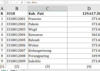 Dana Desa 2026 Pati Tembus Rp129,6 Miliar