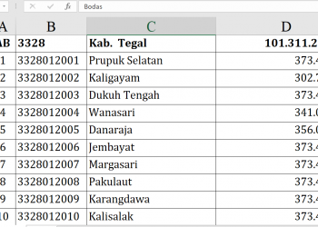 Dana Desa 2026 Kabupaten Tegal Tembus Rp101 M