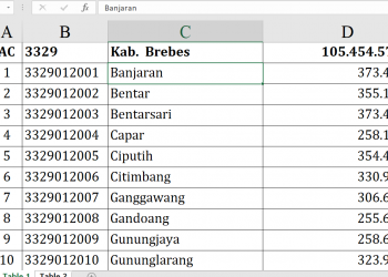 Dana Desa 2026 Kabupaten Brebes
