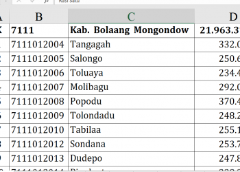 Dana Desa Bolsel 2026 Tembus Rp21,9 M, Tertinggi?