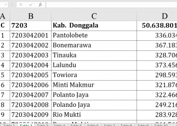 Dana Desa Donggala 2026 Tembus Rp50,6 M!