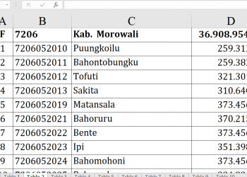 Dana Desa Morowali 2026 Rp36,9 M, Desa Ini Tertinggi!