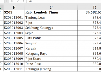 Dana Desa Lombok Timur 2026 Rp84,5 Miliar!