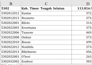 Dana Desa 2026 TTS Tembus Rp113,8 Miliar