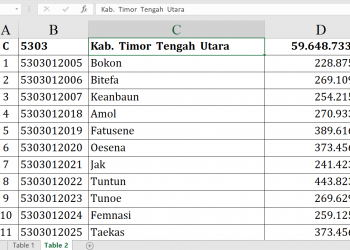 Dana Desa 2026 TTU Capai Rp59,6 Miliar