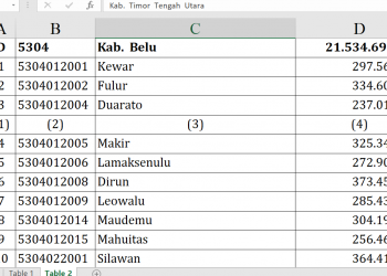 Dana Desa 2026 Belu Tembus Rp21,5 M, Siapa Terbesar?