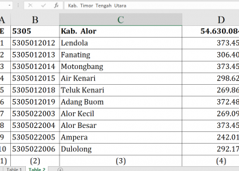 Dana Desa 2026 Alor Rp54,6 M, Desa Ini Tertinggi!
