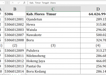 Dana Desa 2026 Flores Timur, Gayak Terendah?