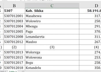 Dana Desa 2026 Sikka Tembus Rp58 Miliar
