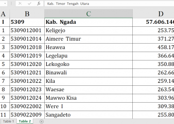 Dana Desa 2026 Ngada Tembus Rp57,6 Miliar