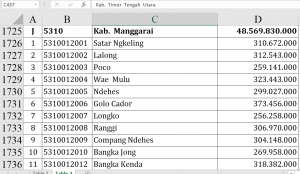 Dana Desa Manggarai 2026: Papang Tertinggi?