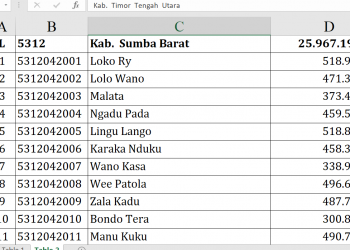 Dana Desa Sumba Barat 2026: Siapa Terbesar?