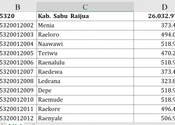 Dana Desa 2026 Sabu Raijua Capai Rp26 M!