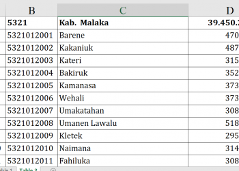 Dana Desa 2026 Malaka Hampir Rp40 Miliar!