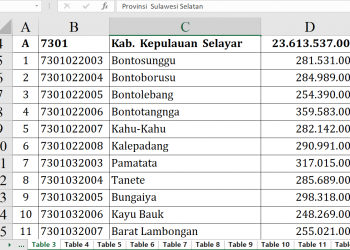 Dana Desa 2026 Kepulauan Selayar Tembus Rp23,6 Miliar!