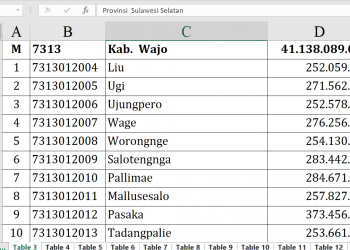 Dana Desa 2026 Wajo Tembus Rp41 M, Siapa Teratas?