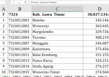 Dana Desa 2026 Luwu Timur Rp38,8 M, Desa Mana Tertinggi?
