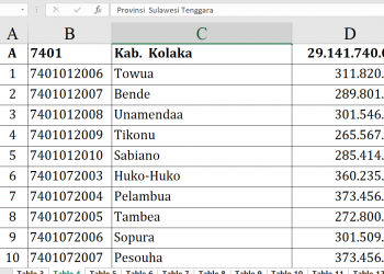 Dana Desa 2026 Kolaka Tembus Rp29,1 Miliar