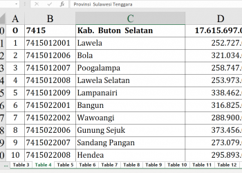 Dana Desa 2026 Buton Selatan, Siapa Teratas?