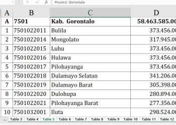 Dana Desa 2026 Kabupaten Gorontalo Tembus Rp58 M!