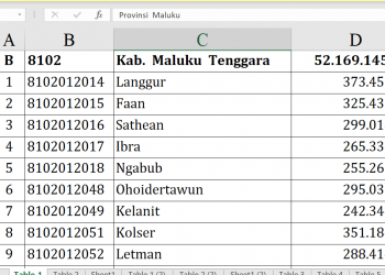 Dana Desa 2026 Maluku Tenggara Rp52 M