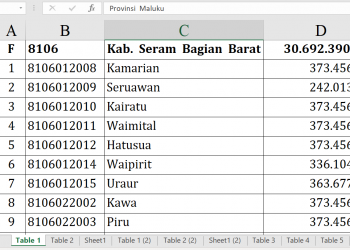 Dana Desa 2026 SBB Capai Rp30,69 Miliar!