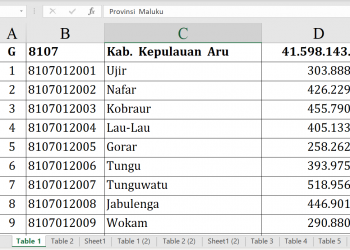 Dana Desa 2026 Kepulauan Aru Rp41,59 M!