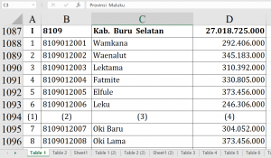 Dana Desa 2026 Buru Selatan Tembus Rp27 M!