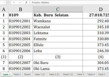 Dana Desa 2026 Buru Selatan Tembus Rp27 M!