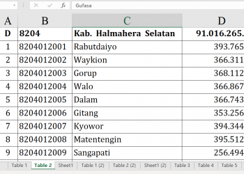 Dana Desa 2026 Halmahera Selatan Rp91 Miliar