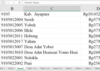 Dana Desa Jayapura 2026 Tembus Rp50 Miliar