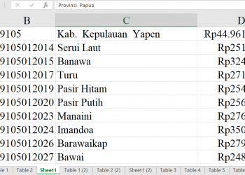 Dana Desa Kepulauan Yapen 2026 Rp44,9 Miliar