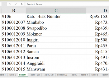 Dana Desa Biak Numfor 2026 Tembus Rp95 M